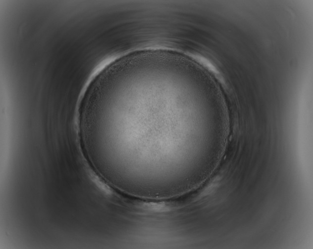 X0000086930990200704161420