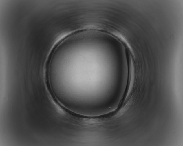 X0000086930991200704161420