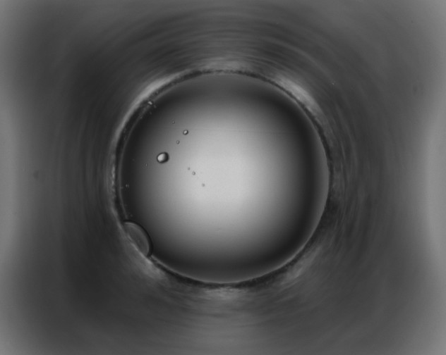 X0000086930992200704161420