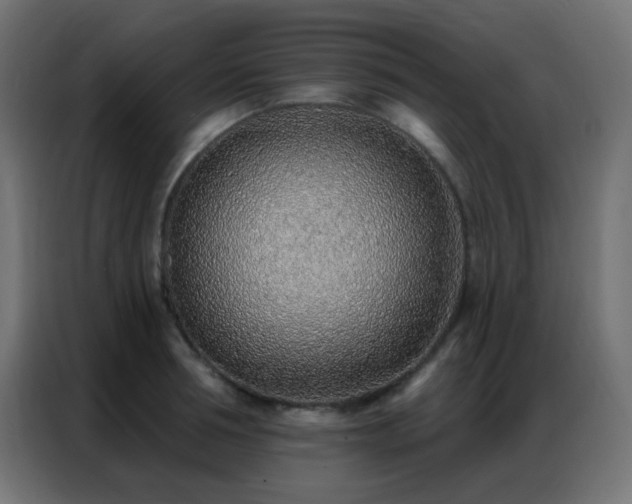 X0000086930994200704161420