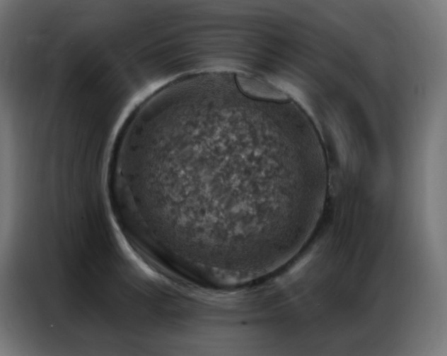 X0000086930995200704161420