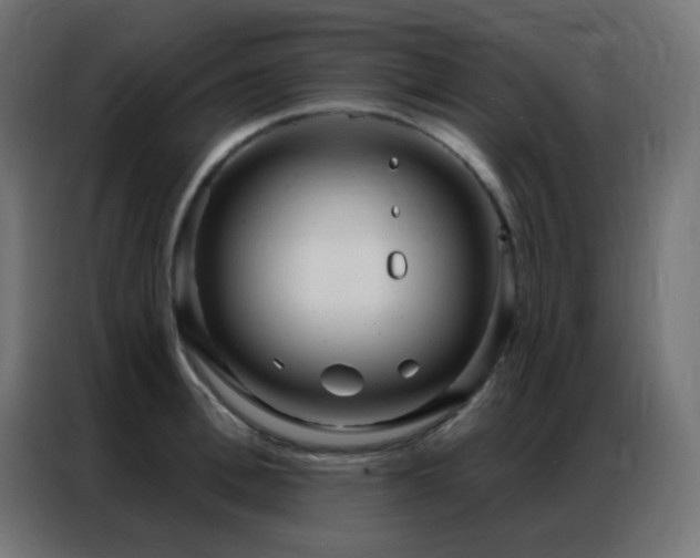 X0000086930996200704161420