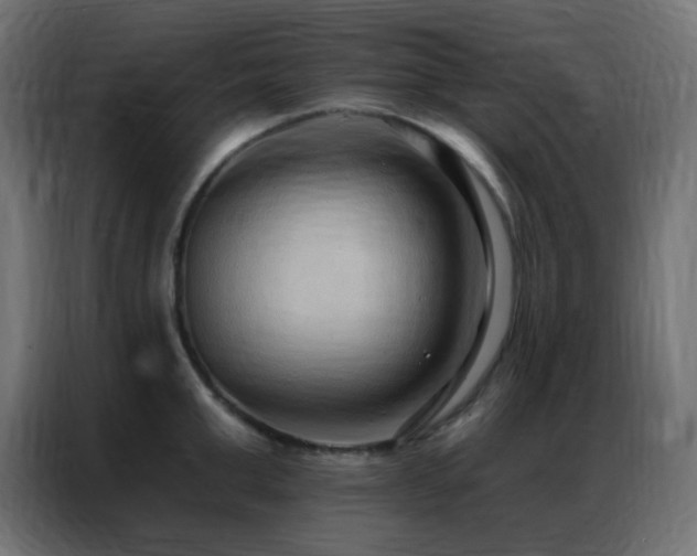 X0000086930999200704161420
