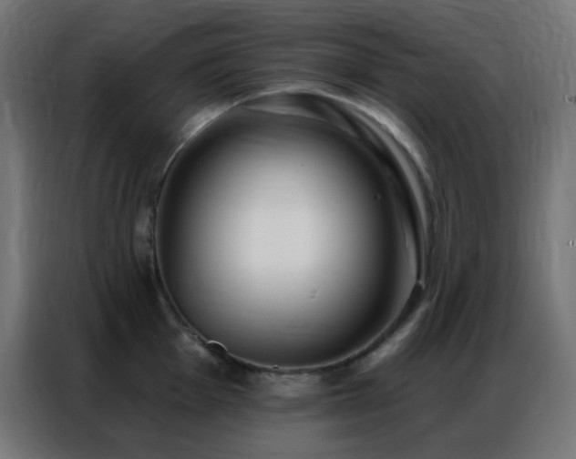 X0000086931001200704161420