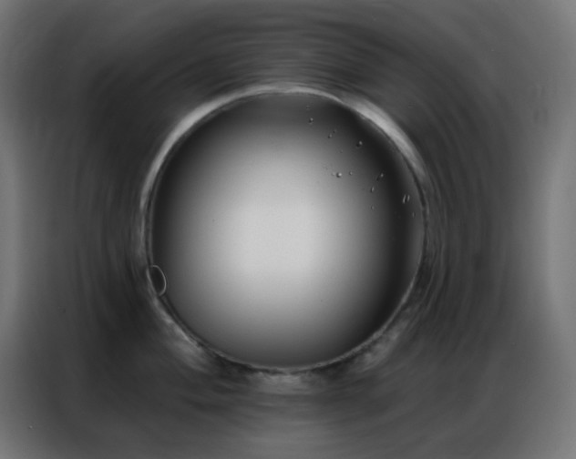 X0000086931004200704161420