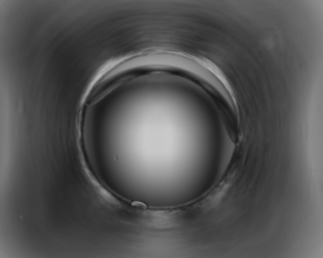 X0000086931005200704161420