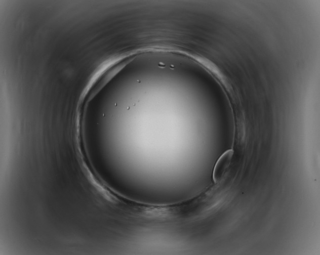 X0000086931006200704161420