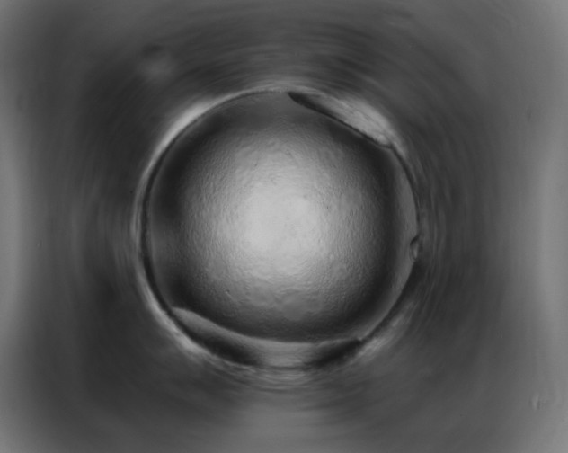 X0000086931007200704161420