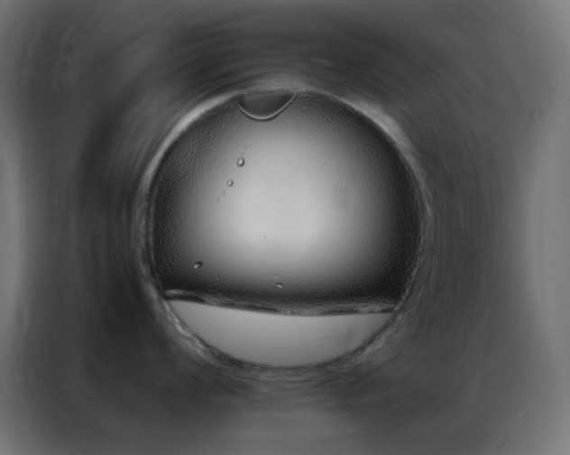 X0000086931008200704161420
