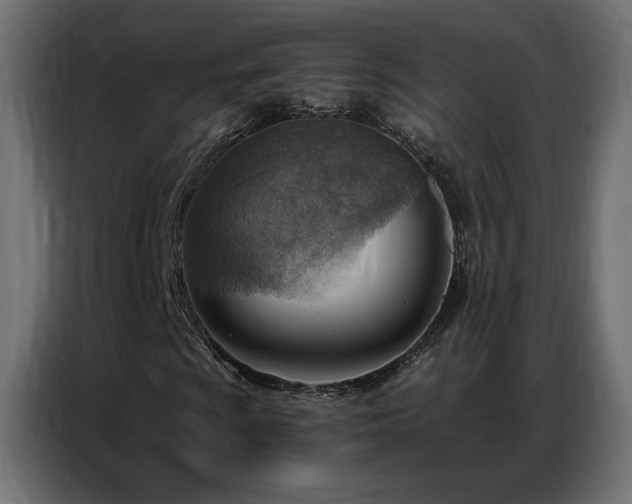 X0000086931009200704161419