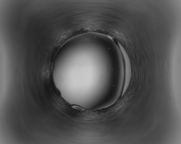 X0000086931012200704161419