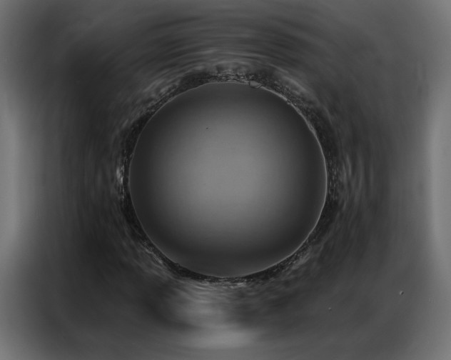 X0000086931013200704161419