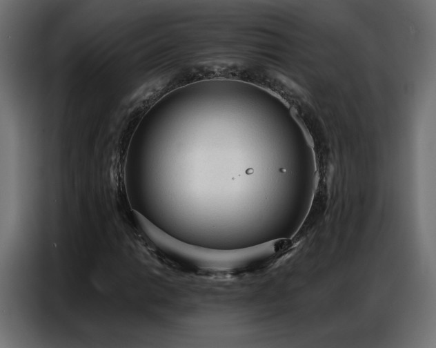 X0000086931014200704161419