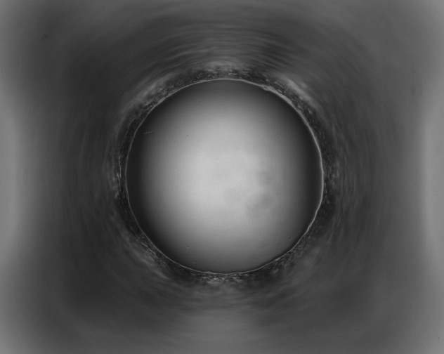 X0000086931015200704161419