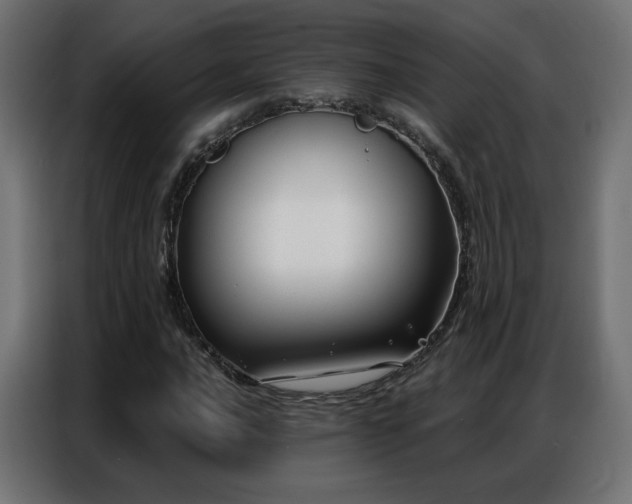 X0000086931016200704161419