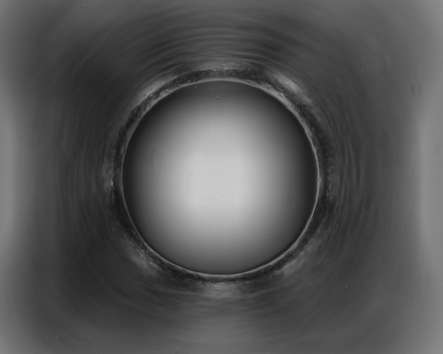 X0000086931017200704161419