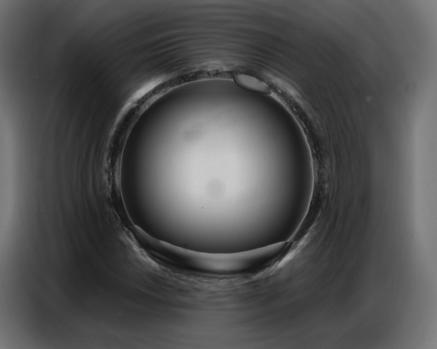 X0000086931018200704161419
