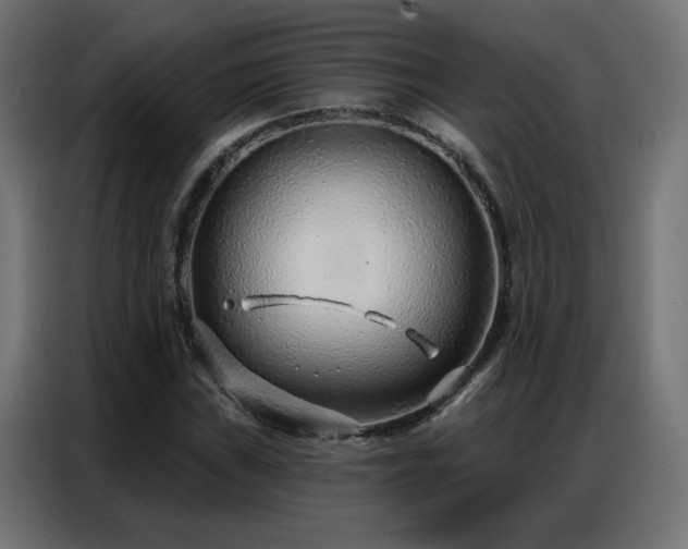 X0000086931019200704161419