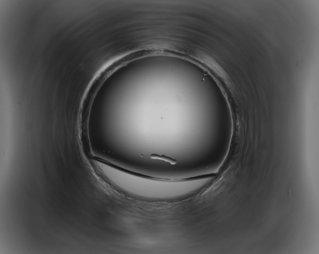 X0000086931020200704161419