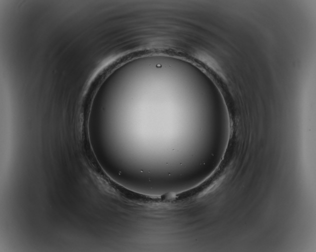 X0000086931021200704161420