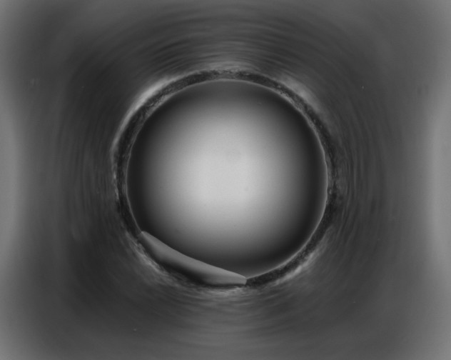 X0000086931022200704161420