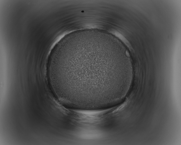 X0000086931023200704161420