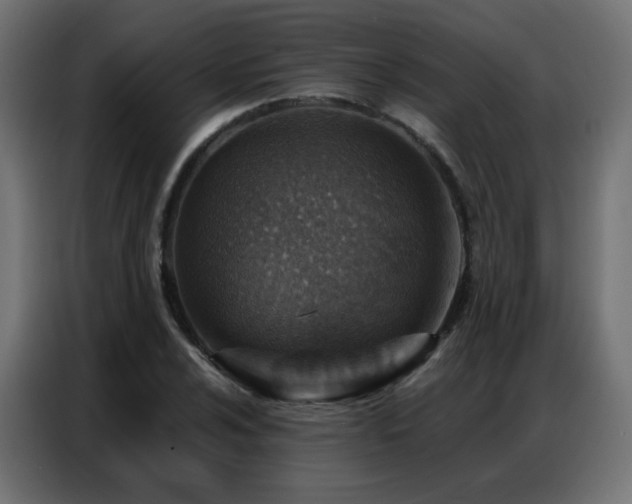 X0000086931024200704161420