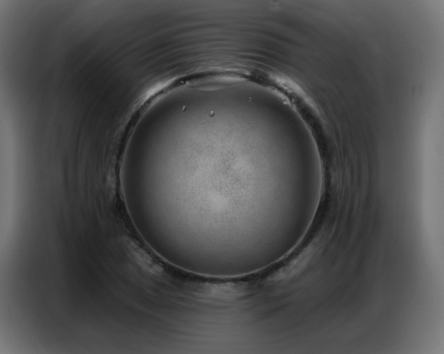 X0000086931025200704161420