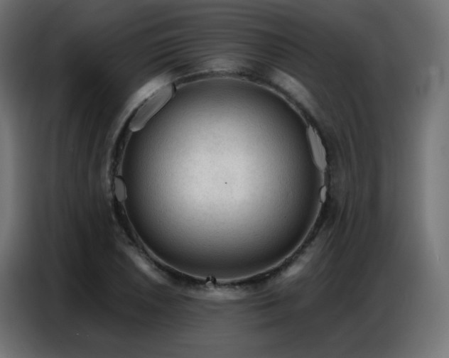 X0000086931026200704161420