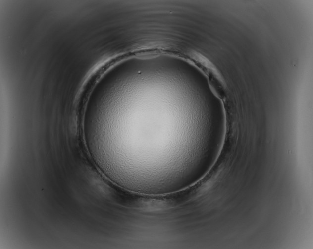 X0000086931027200704161420