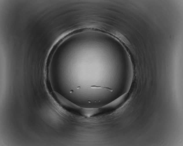 X0000086931028200704161420