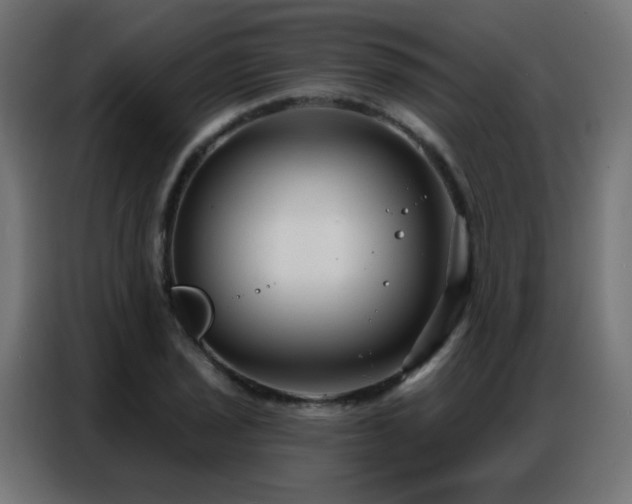 X0000086931029200704161420