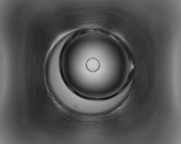 X0000086931030200704161420
