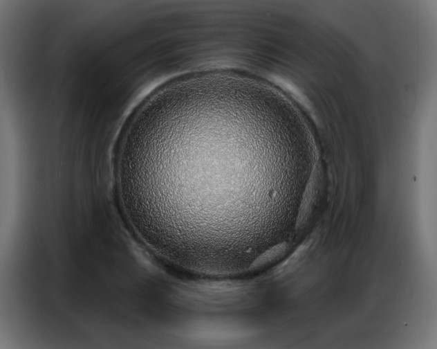 X0000086931031200704161420