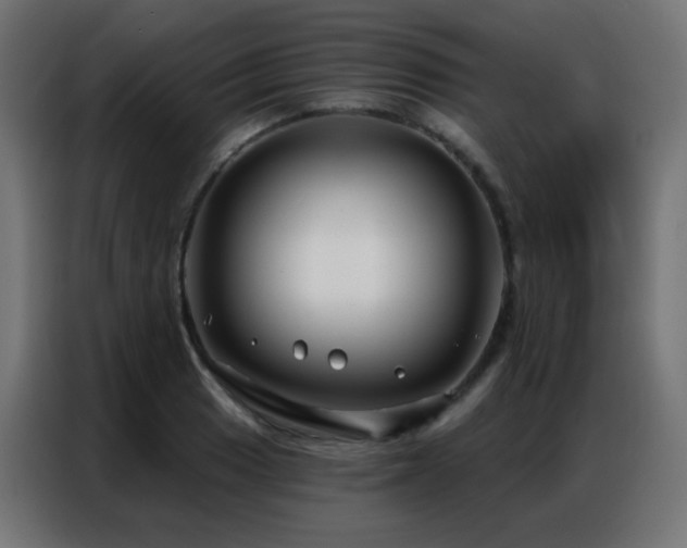X0000086931033200704161420