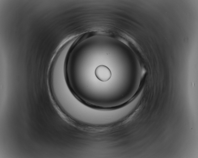 X0000086931034200704161420