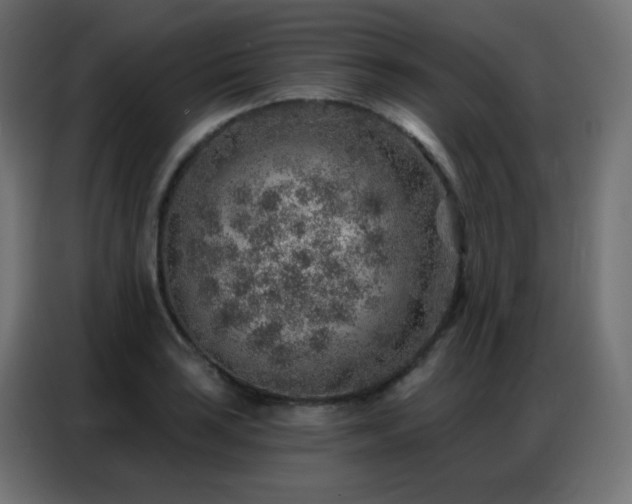 X0000086931035200704161420