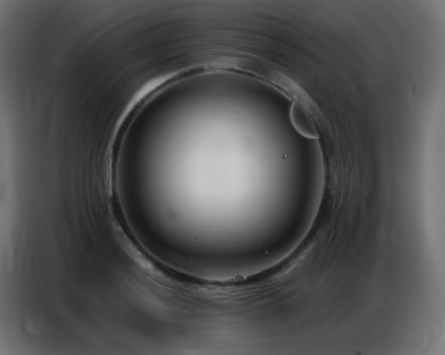 X0000086931036200704161420