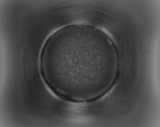X0000086931037200704161420