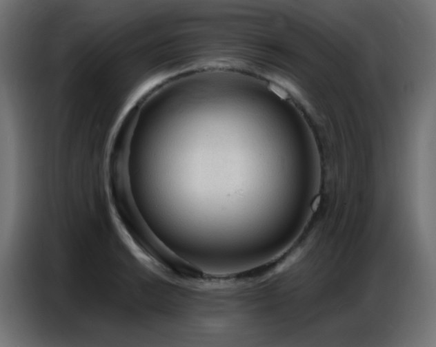 X0000086931038200704161420