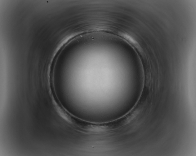 X0000086931039200704161420