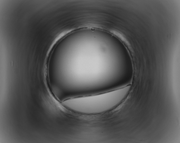 X0000086931040200704161420