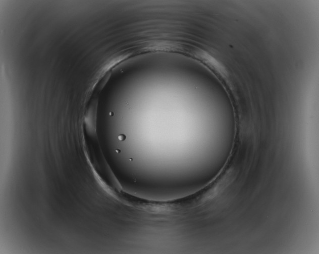 X0000086931041200704161420