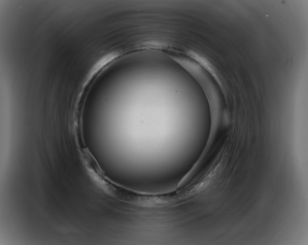 X0000086931042200704161420