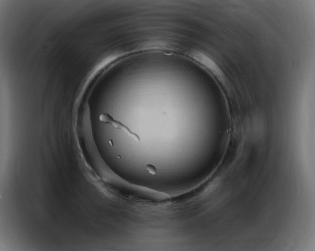 X0000086931043200704161420