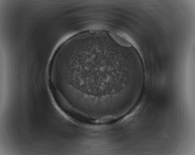 X0000086931045200704161420