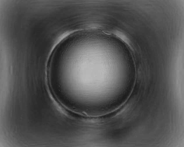 X0000086931047200704161420