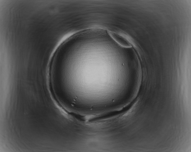 X0000086931048200704161420
