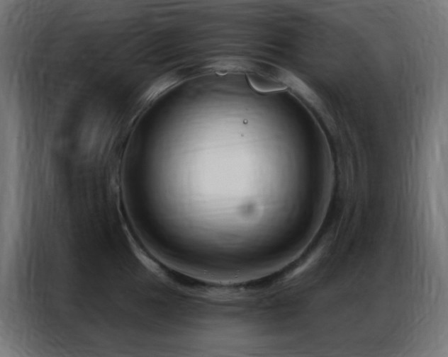 X0000086931049200704161420