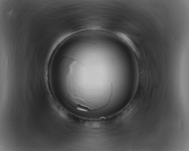 X0000086931051200704161420